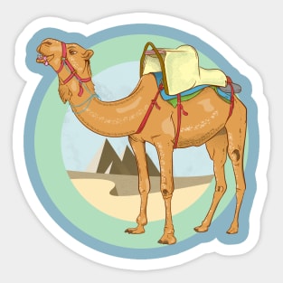 Camel Egypt Sticker